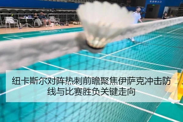 纽卡斯尔对阵热刺前瞻聚焦伊萨克冲击防线与比赛胜负关键走向